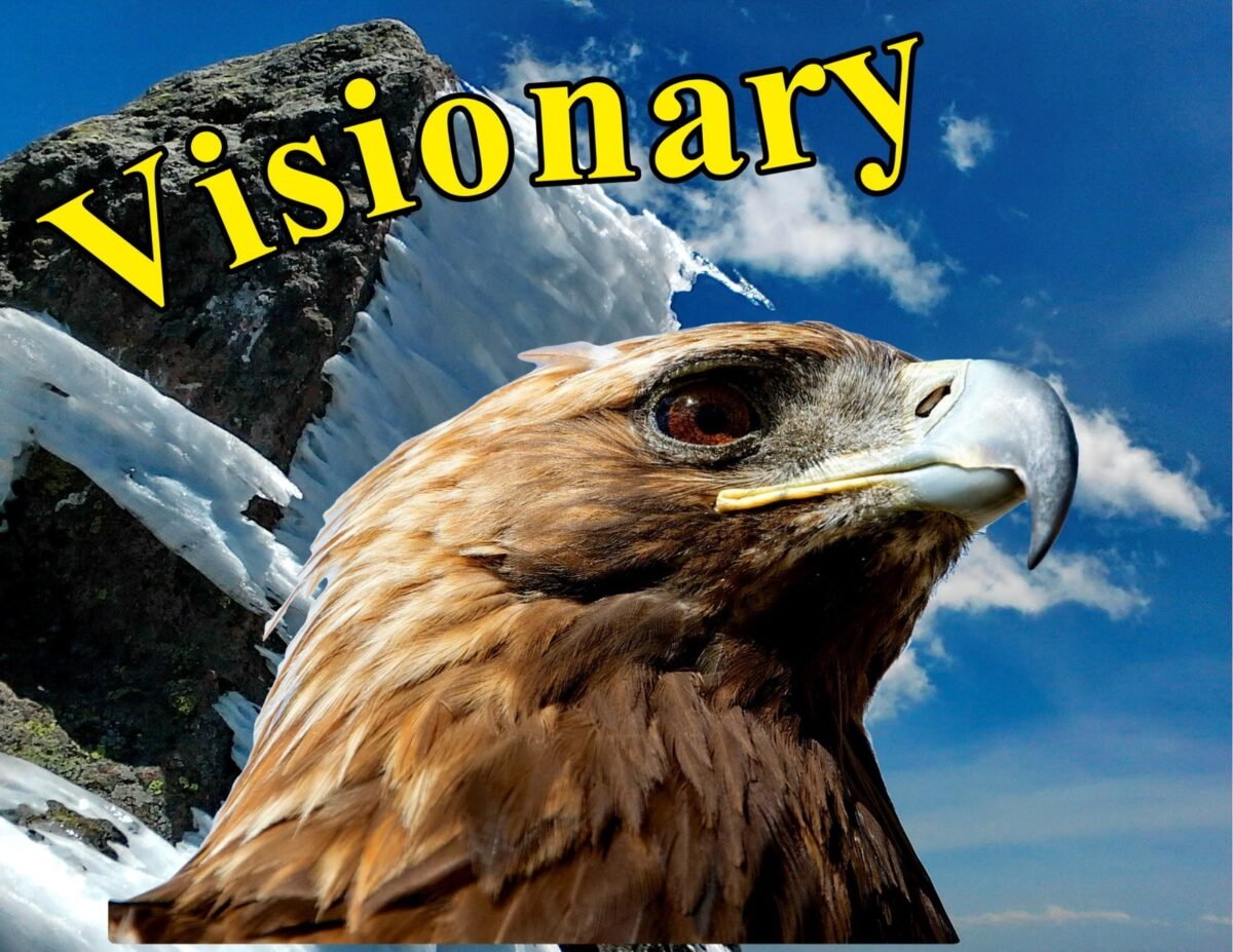 2017-Visionary
