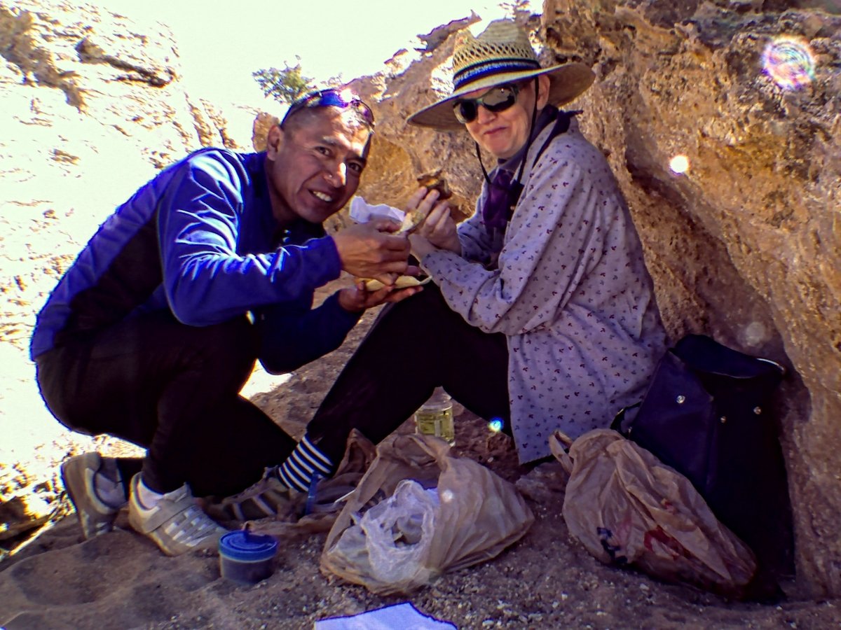 SyntekExifImageTitle