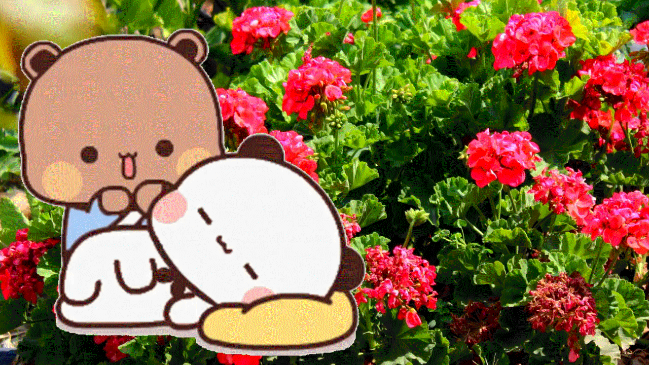 2023-04-20Bear Massage 2023-04-20Bear Massage