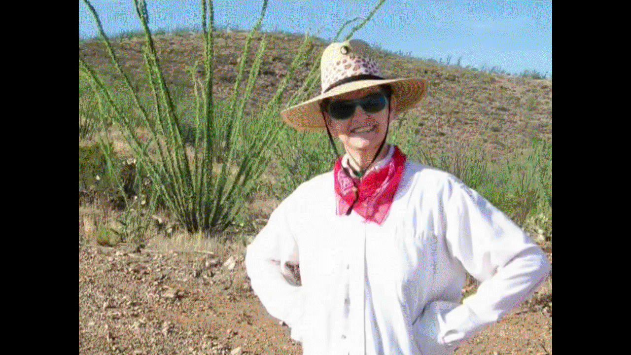 2009-09-16 Terciopelo y Fuego