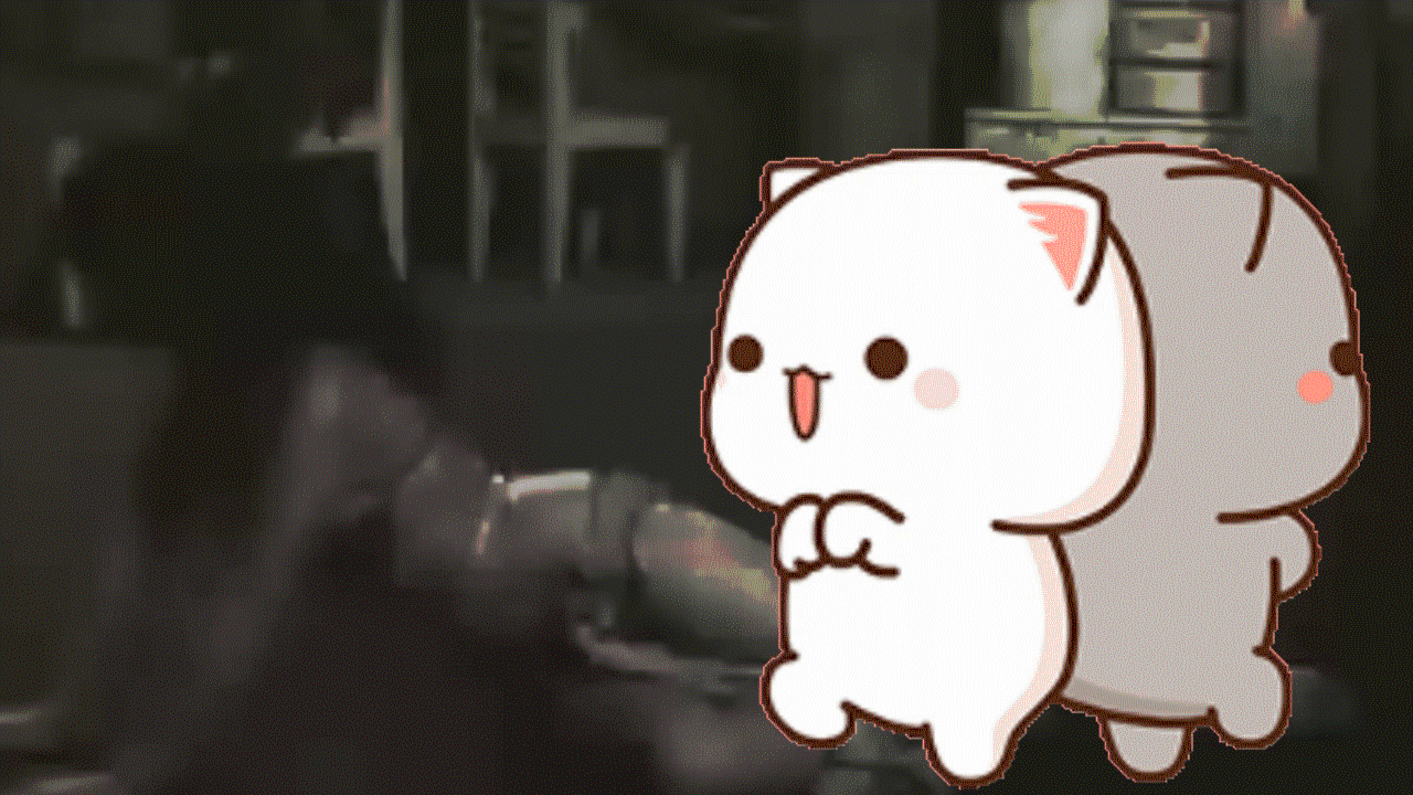 2026-01-08 Happy Kitties 2026-01-08 Happy Kitties