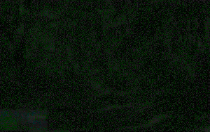 2010-07-26 ZI Gold Series