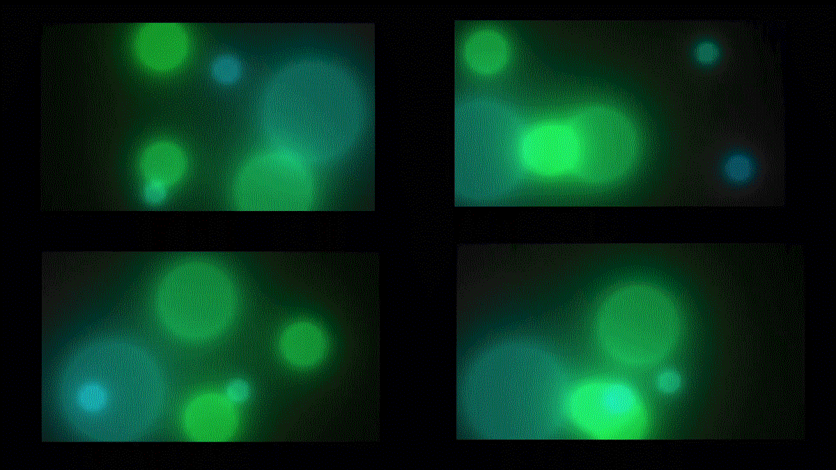 2011-10-24_30 145hrs ZI 274.6 miles