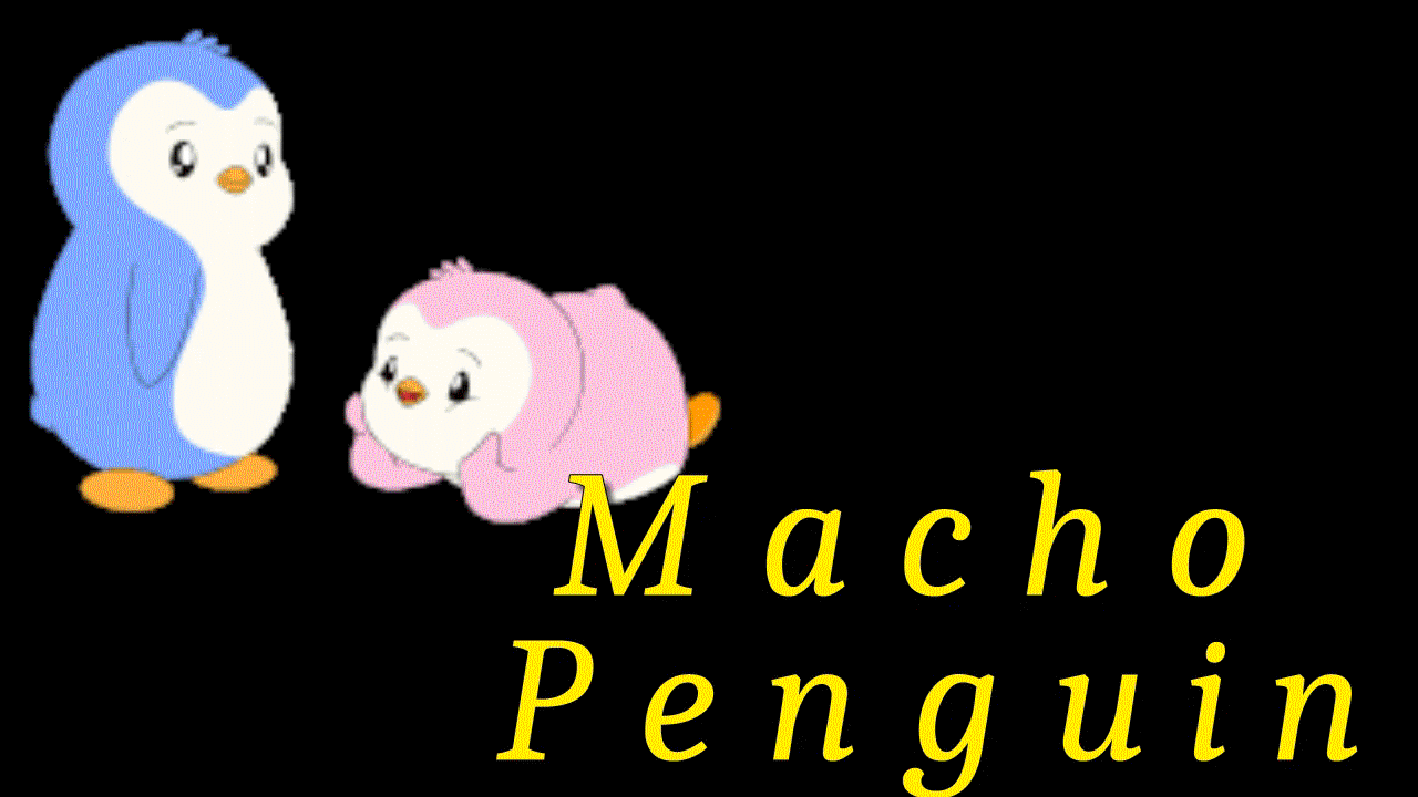 2026-08-07 Macho Penguin